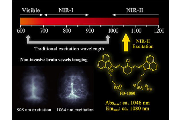 具有近红外第二窗口1064-nm激发的有机小分子荧光染料实现深组织动态成像