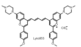 Lyso855 化学结构