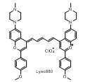 Lyso880 化学结构